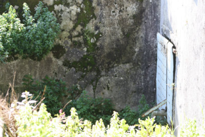 Fonte do Freixial